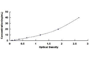 Typical standard curve (TGFBI Kit ELISA)