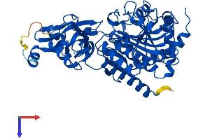AlphaFold protein structure predicition of Mouse Recombinant Dnpep Protein, UniprotID Q9Z2W0