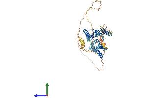AlphaFold protein structure predicition of Human Recombinant SLC39A7 Protein, UniprotID Q92504