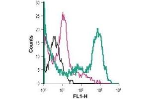 Cell surface detection of Glucose transporter 3 in live intact mouse J774 macrophage cell line: (black line) Cells.