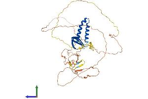 AlphaFold protein structure predicition of Human Recombinant GTF2A1L Protein, UniprotID Q9UNN4