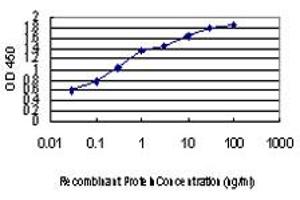 Detection limit for recombinant GST tagged PER2 is approximately 0.