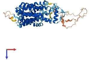 AlphaFold protein structure predicition of Human Recombinant SVOP Protein, UniprotID Q8N4V2
