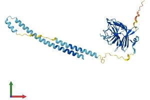 AlphaFold protein structure predicition of Human Recombinant TRIM16L Protein, UniprotID Q309B1