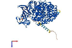 AlphaFold protein structure predicition of Human Recombinant ENPEP Protein, UniprotID Q07075