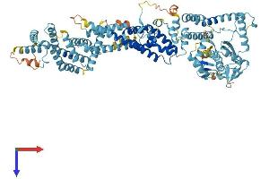 AlphaFold protein structure predicition of Human Recombinant ANAPC2 Protein, UniprotID Q9UJX6