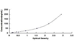 Typical standard curve (PON1 Kit ELISA)