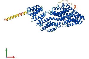 AlphaFold protein structure predicition of Mouse Recombinant Mau2 Protein, UniprotID Q9D2X5
