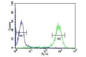 DLK2 antibody flow cytometric analysis of HL-60 cells (green) compared to a negative control (blue).
