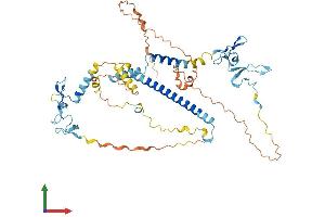 AlphaFold protein structure predicition of Human Recombinant KANSL2 Protein, UniprotID Q9H9L4