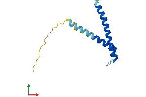 AlphaFold protein structure predicition of Human Recombinant TIMM13 Protein, UniprotID Q9Y5L4