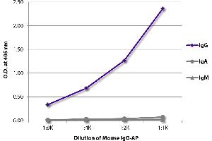 ELISA plate was coated with Goat Anti-Mouse IgG, Human ads-UNLB was captured and quantified.