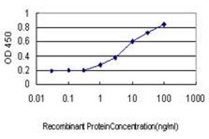 Detection limit for recombinant GST tagged SFRS6 is approximately 1ng/ml as a capture antibody.