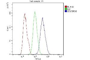 Flow Cytometry analysis of U20S cells using anti-SRI antibody (ABIN6719388).