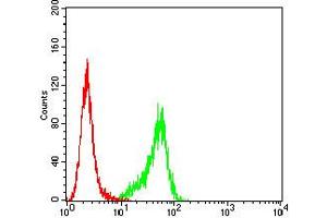 Flow cytometric analysis of Hela cells using P2RY14 mouse mAb (green) and negative control (red). (P2RY14 anticorps)
