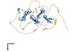 AlphaFold protein structure predicition of Human Recombinant ZNF205 Protein, UniprotID O95201
