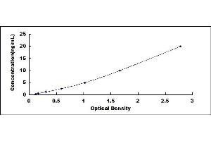 Typical standard curve (MFAP4 Kit ELISA)