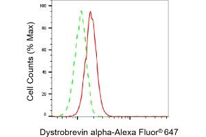 Flow cytometric analysis of Dystrobrevin alpha expression in C2C12 cells using Dystrobrevin alpha antibody (ABIN7798410), 1:1,000). (DTNA anticorps)