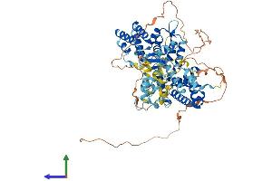 AlphaFold protein structure predicition of Human Recombinant RASGRP3 Protein, UniprotID Q8IV61