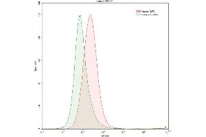 Detection of ILF3 in K562 human chronic myelogenous leukemia cell line using Polyclonal Antibody to Interleukin Enhancer Binding Factor 3 (ILF3) (Interleukin enhancer-binding factor 3 (ILF3) (AA 672-891) anticorps)