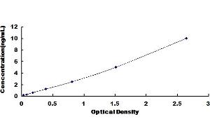 Typical Standard Curve for Rat WNT3 ELISA. (WNT3 Kit ELISA)
