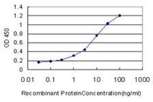 anti-Rap Guanine Nucleotide Exchange Factor (GEF) 1 (RAPGEF1) (AA 1-110) antibody