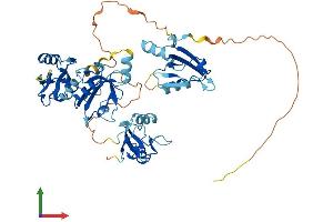 AlphaFold protein structure predicition of Human Recombinant PDZK1 Protein, UniprotID Q5T2W1