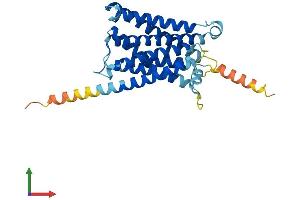 AlphaFold protein structure predicition of Human Recombinant MRGPRE Protein, UniprotID Q86SM8