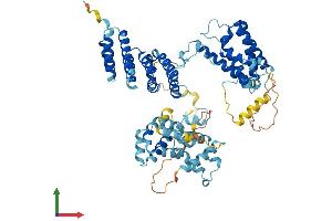 AlphaFold protein structure predicition of Human Recombinant THOC1 Protein, UniprotID Q96FV9