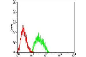 Flow cytometric analysis of SK-N-SH cells using NEFH mouse mAb (green) and negative control (red). (NEFH anticorps  (AA 2-251))
