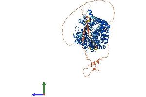 AlphaFold protein structure predicition of Human Recombinant SLC6A5 Protein, UniprotID Q9Y345