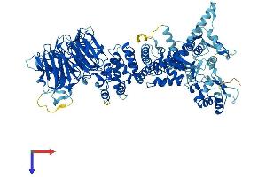 AlphaFold protein structure predicition of Human Recombinant HERC4 Protein, UniprotID Q5GLZ8