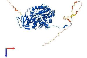 AlphaFold protein structure predicition of Mouse Recombinant Dpysl3 Protein, UniprotID Q62188