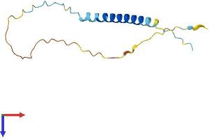 AlphaFold protein structure predicition of Mouse Recombinant Tceal8 Protein, UniprotID Q9CZY2