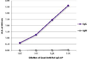 ELISA plate was coated with purified rat IgG and IgM. (Chèvre anti-Rat IgG (Heavy Chain) Anticorps (Alkaline Phosphatase (AP)))