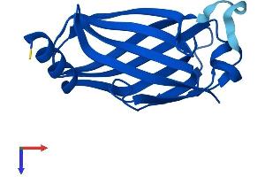 AlphaFold protein structure predicition of Human Recombinant PDE6D Protein, UniprotID O43924