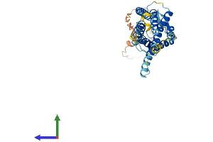 AlphaFold protein structure predicition of Human Recombinant ACKR1 Protein, UniprotID Q16570
