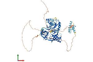 AlphaFold protein structure predicition of Mouse Recombinant Hbs1l Protein, UniprotID Q69ZS7