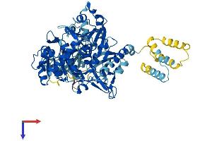 AlphaFold protein structure predicition of Human Recombinant SLC27A5 Protein, UniprotID Q9Y2P5