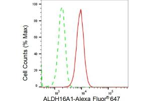 Flow cytometric analysis of ALDH16A1 expression in HepG2 cells using ALDH16A1 antibody (ABIN7797562), 1:2,000).