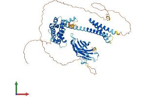 AlphaFold protein structure predicition of Mouse Recombinant Gga2 Protein, UniprotID Q6P5E6