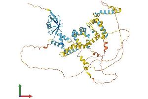 AlphaFold protein structure predicition of Human Recombinant UBQLN4 Protein, UniprotID Q9NRR5
