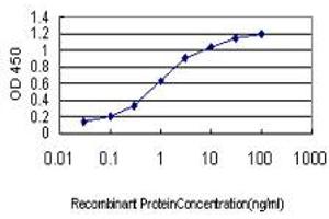 Detection limit for recombinant GST tagged DUT is approximately 0.