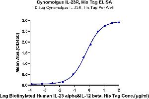 Immobilized Cynomolgus IL-23R, His Tag at 5 μg/mL (100 μL/well) on the plate.