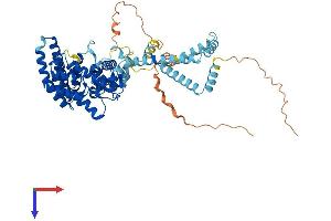 AlphaFold protein structure predicition of Human Recombinant ST7L Protein, UniprotID Q8TDW4