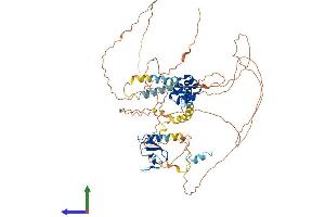 AlphaFold protein structure predicition of Mouse Recombinant Fbxo43 Protein, UniprotID Q8CDI2