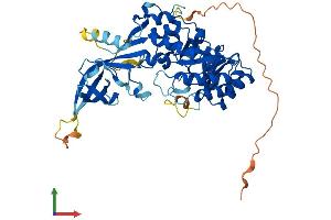 AlphaFold protein structure predicition of Mouse Recombinant Azin2 Protein, UniprotID Q8BVM4