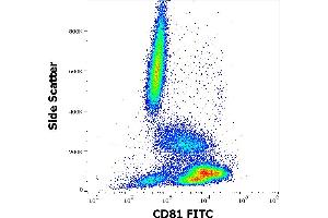 Flow cytometry surface staining pattern of human peripheral whole blood stained using anti-human CD81 (M38) FITC antibody (20 μL reagent / 100 μL of peripheral whole blood). (CD81 anticorps  (FITC))