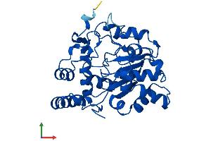 AlphaFold protein structure predicition of Human Recombinant SULT1B1 Protein, UniprotID O43704