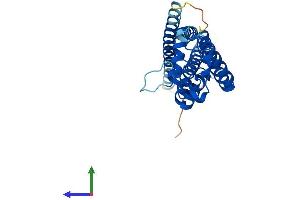 AlphaFold protein structure predicition of Human Recombinant TSPAN15 Protein, UniprotID O95858